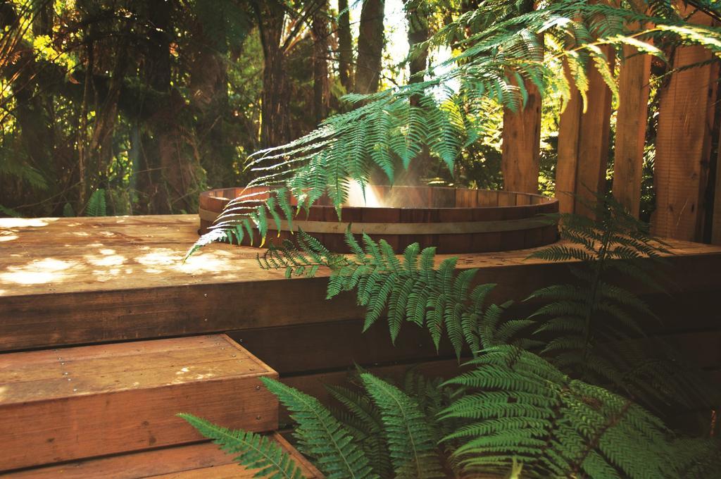 Treetops Lodge & Estate Rotorua Zewnętrze zdjęcie